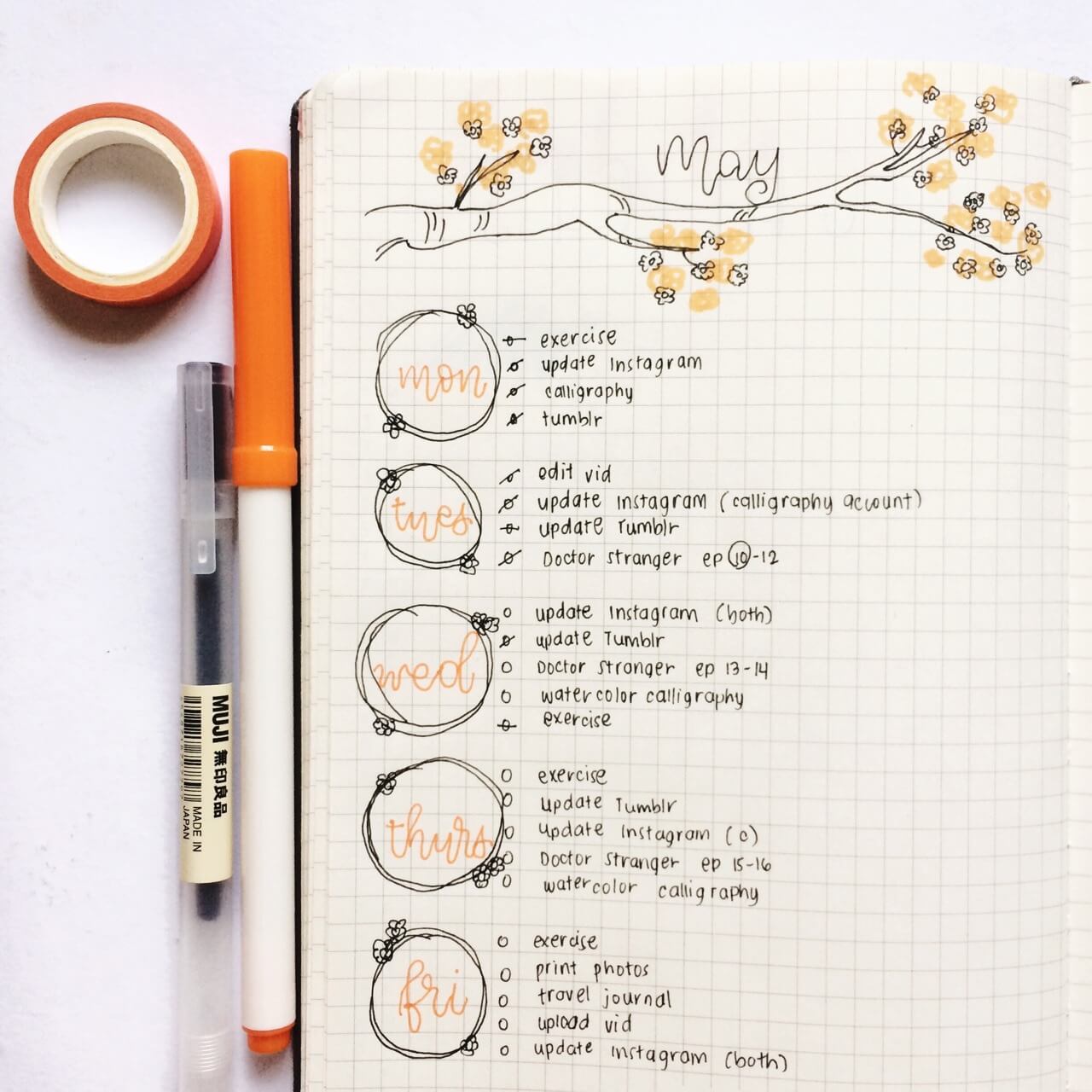graph bullet journal weekly spread, what is a dot grid journal?