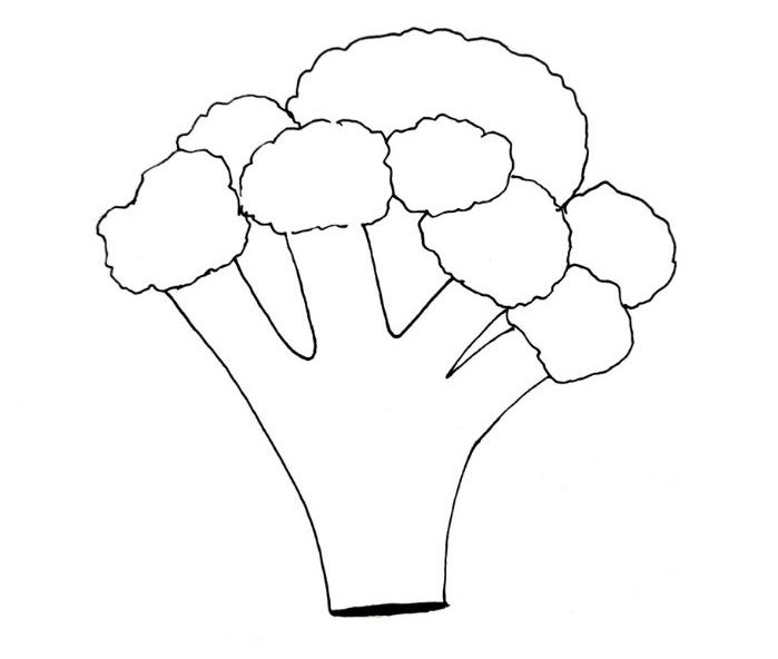 how to draw broccoli, broccoli drawing