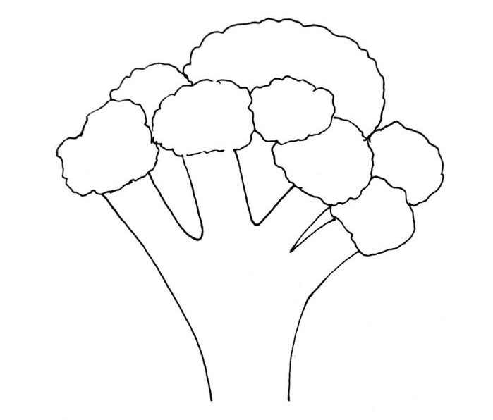 broccoli drawing step 5
