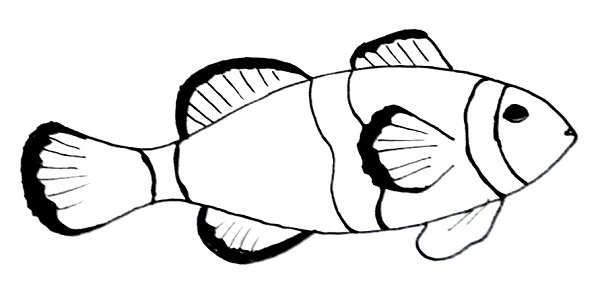 Clownfish Step 7