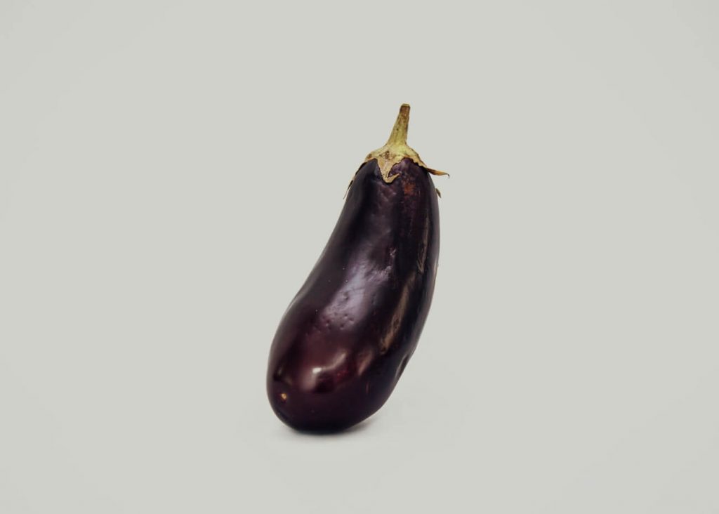 eggplant drawing reference