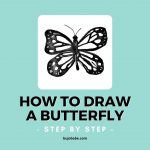 how to draw a butterfly, butterfly drawing, easy step by step tutorial