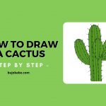 how to draw a cactus step by step
