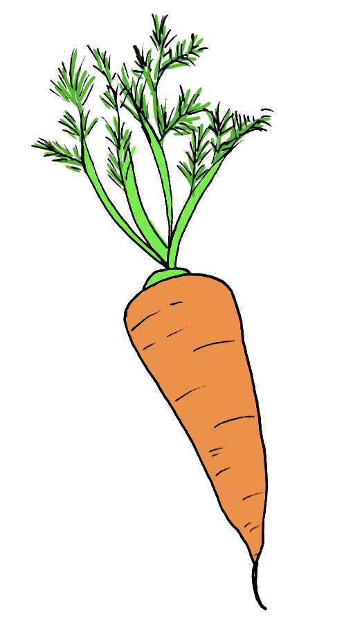 Carrot Drawing Tutorial