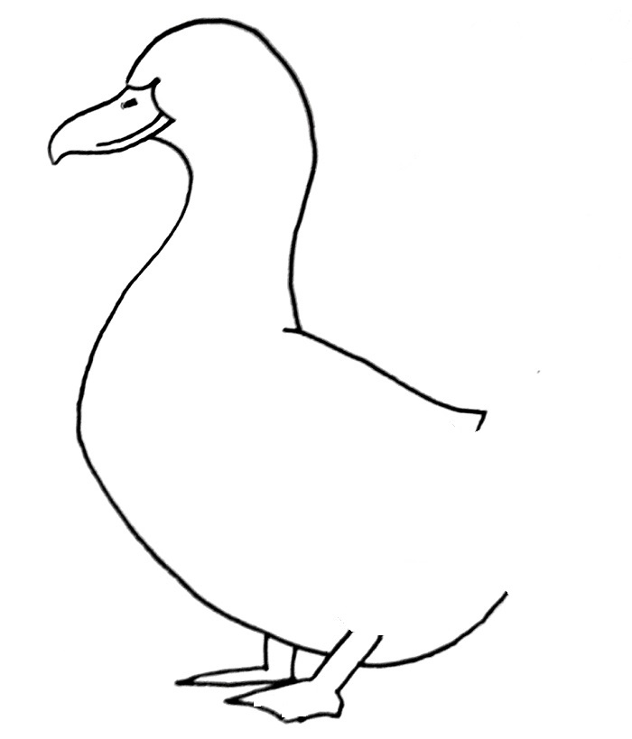 How to draw a duck step 6