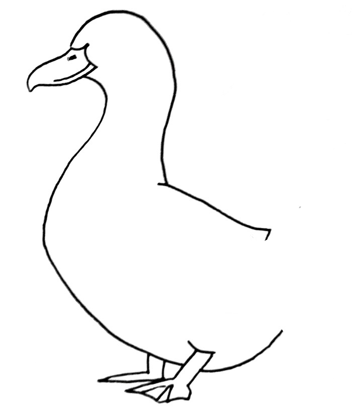 How to draw a duck step 7