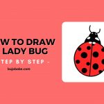 how to draw a lady bug step by step tutorial