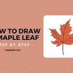 how to draw a maple leaf step by step
