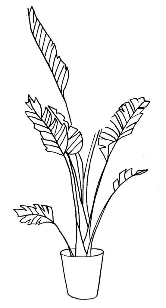 ufuldstændig Egetræ Uventet How To Draw A Pot Plant (Step By Step Drawing Tutorial) - Bujo Babe