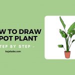 how to draw a pot plant step by step