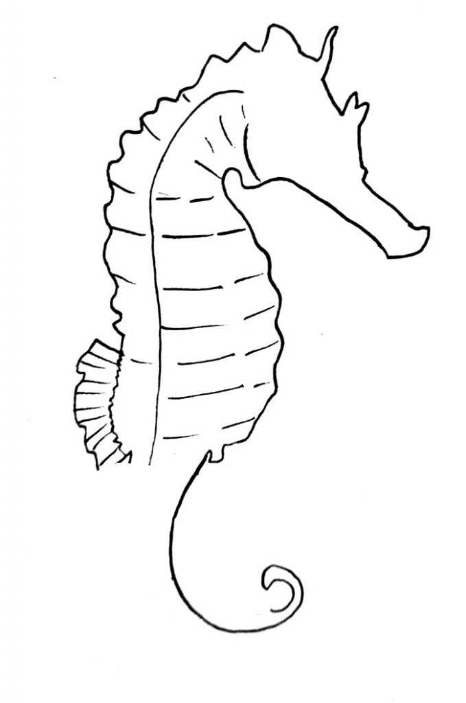 how to draw a seahorse step 8