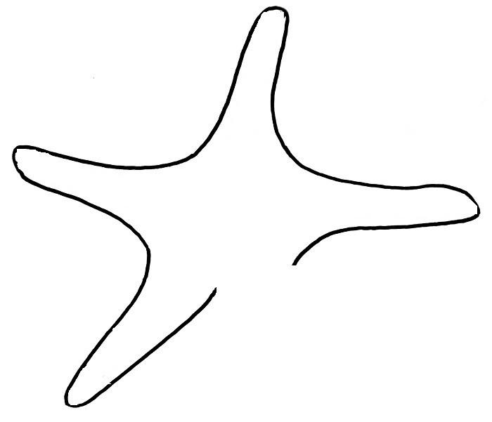 How to draw a starfish step 4