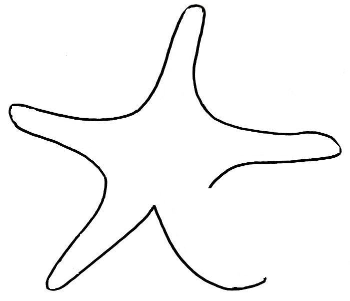 How to draw a starfish step 5