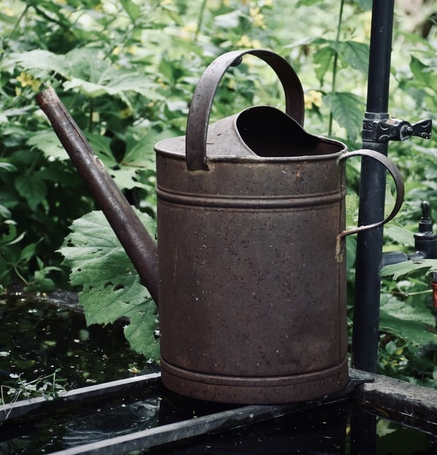watering can drawing reference