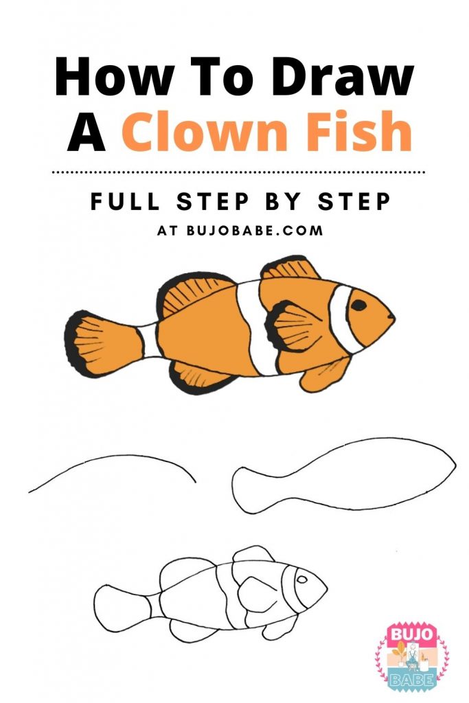 clown fish drawing tutorial
