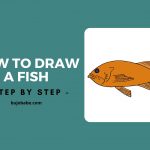 how to draw a fish step by step
