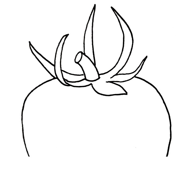how to draw a tomato step 6