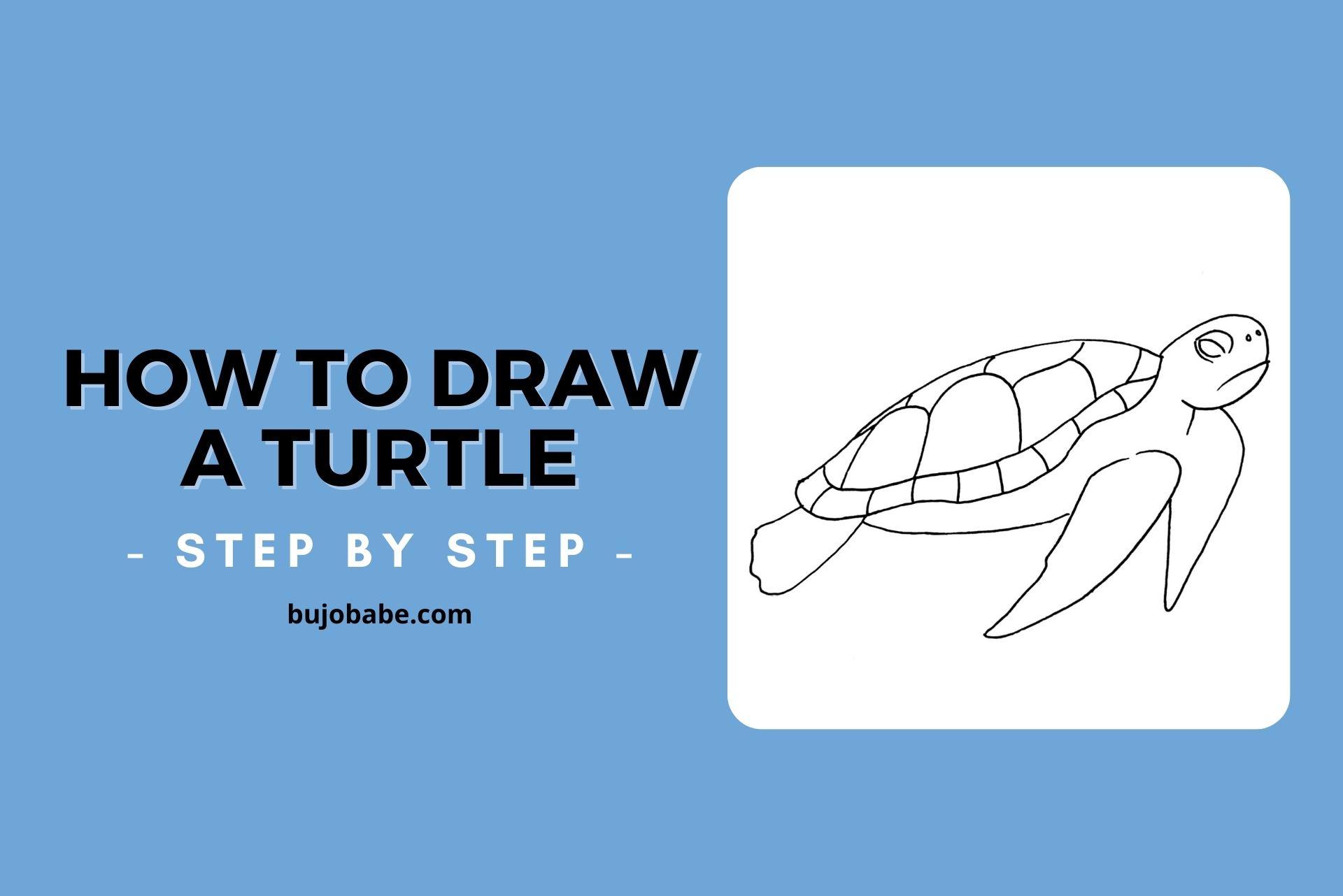 how to draw a turtle step by step