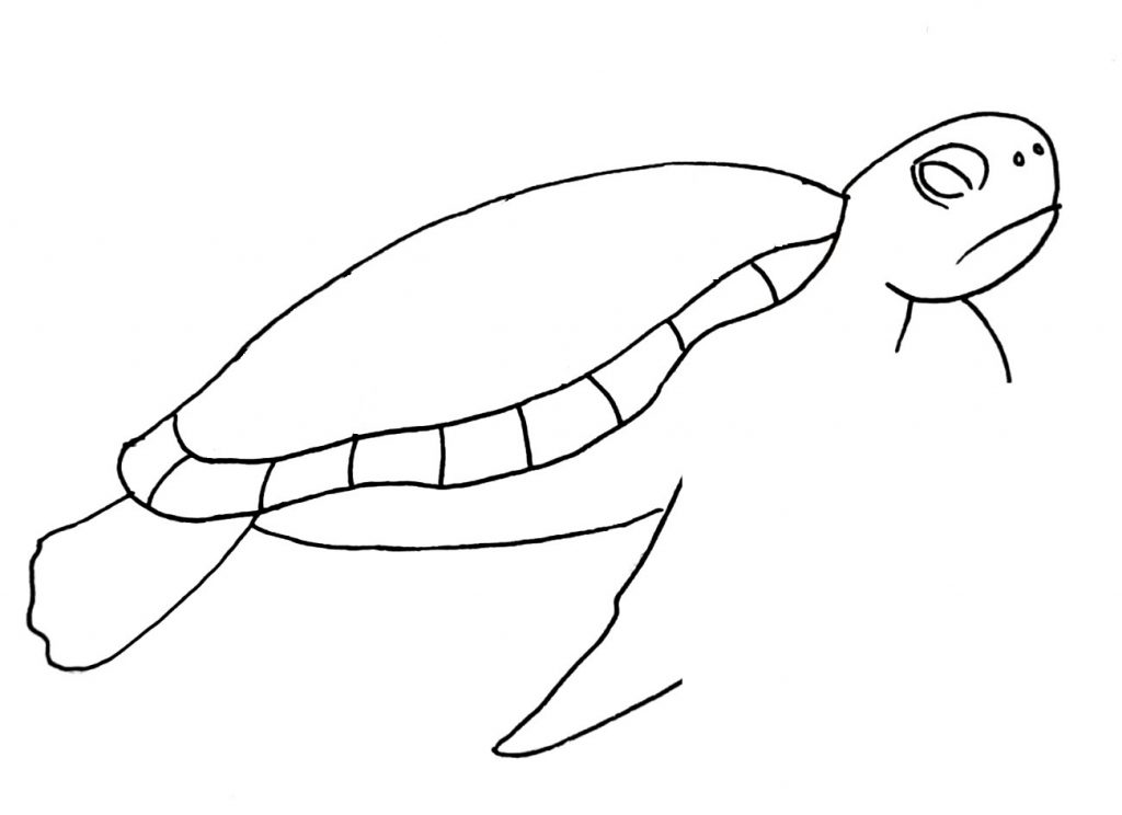 how to draw a turtle step 7