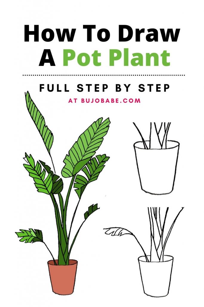 pot plant drawing tutorial