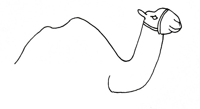 How To Draw A Camel Step 6