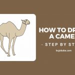 how to draw a camel step by step