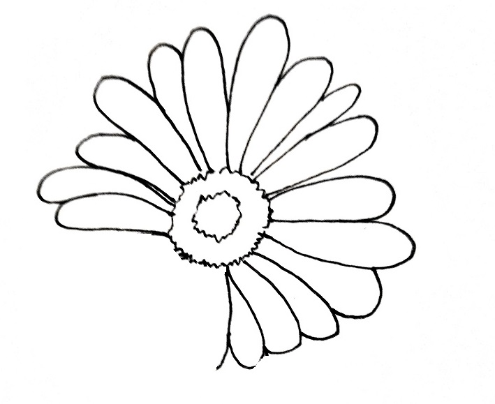 How To Draw A Daisy Step 4