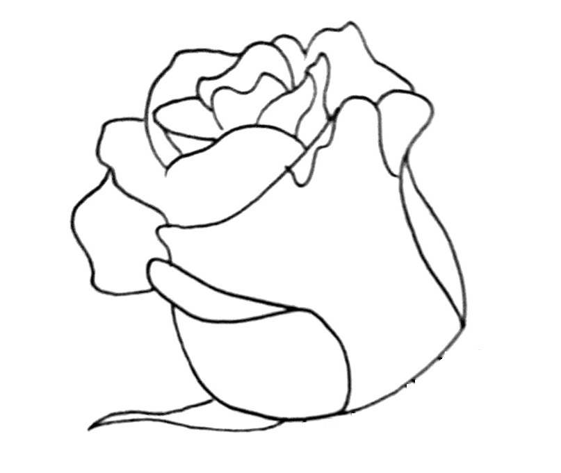 How To Draw A Rose Step 6