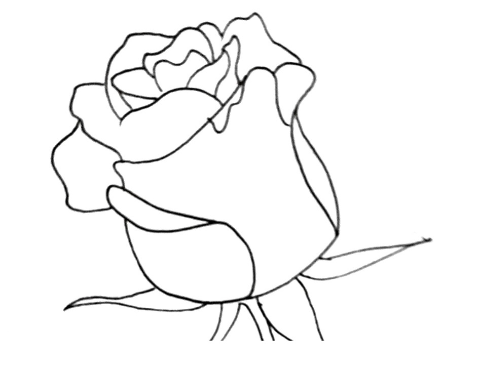 How To Draw A Rose Step 7
