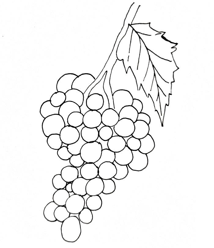 How To Draw Grapes Step 9
