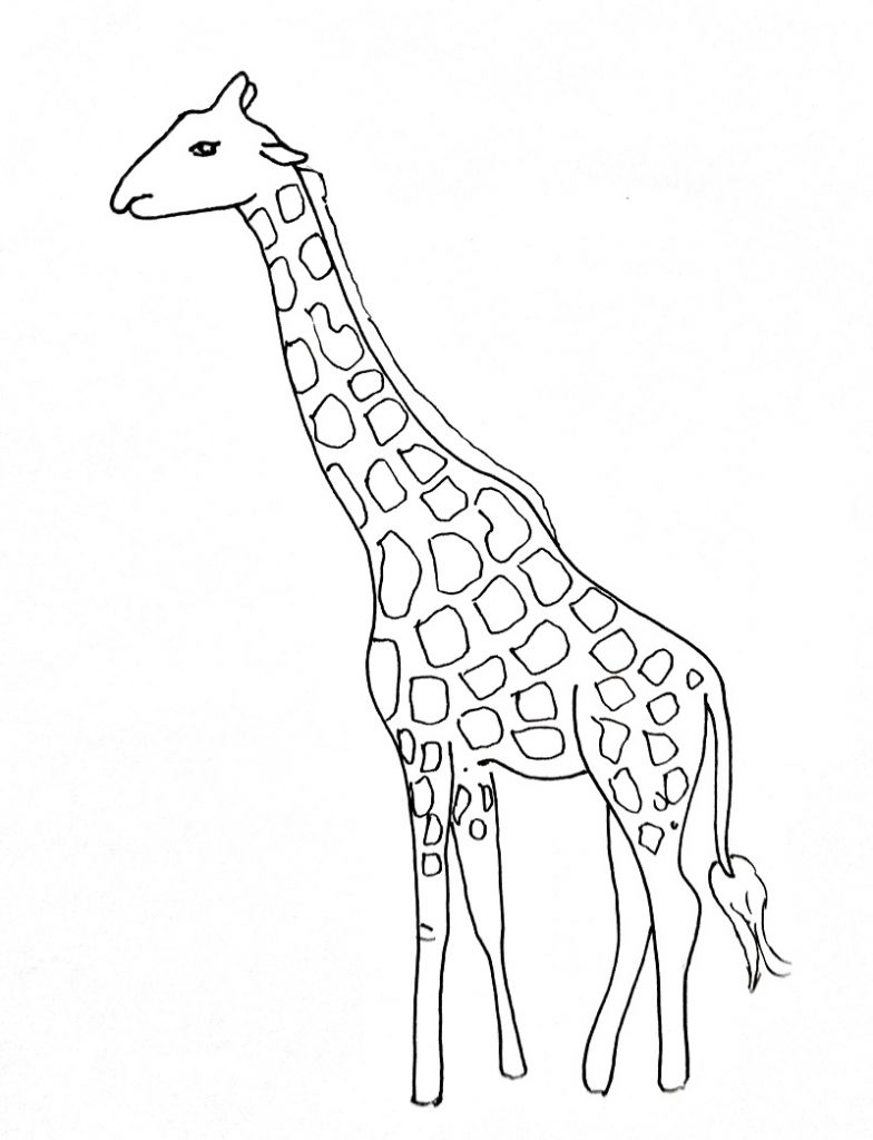How to draw a giraffe step 5