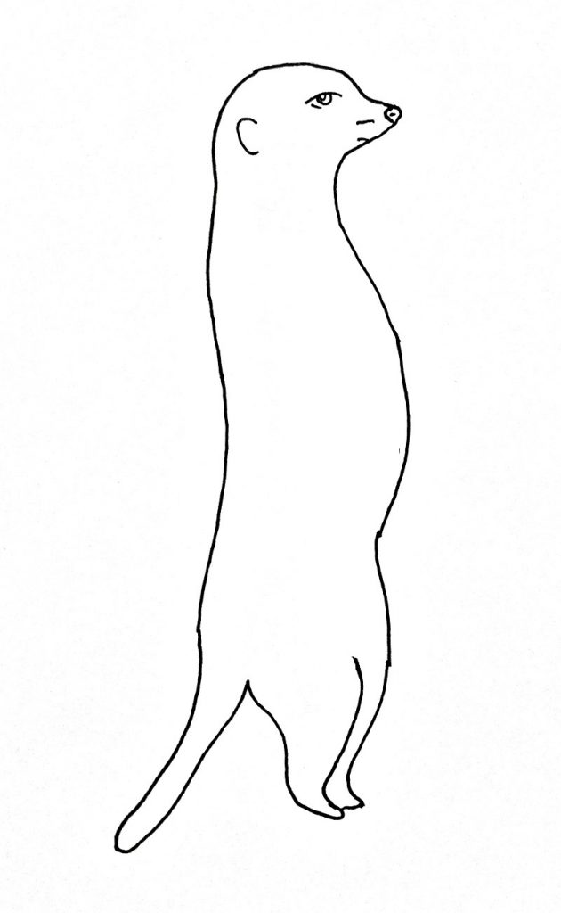 How to draw a meerkat step 6