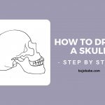 how to draw a skull in side profile step by step