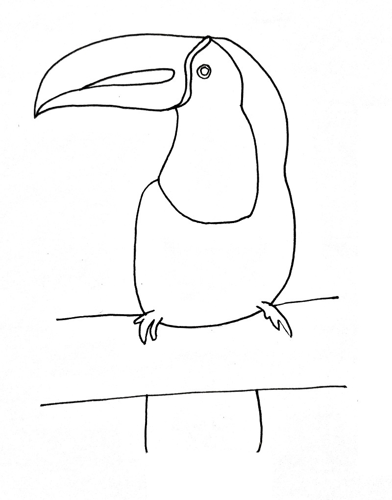 How to draw a toucan step 7