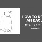 how to draw an eagle step by step