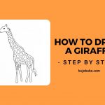how to draw giraffe step by step