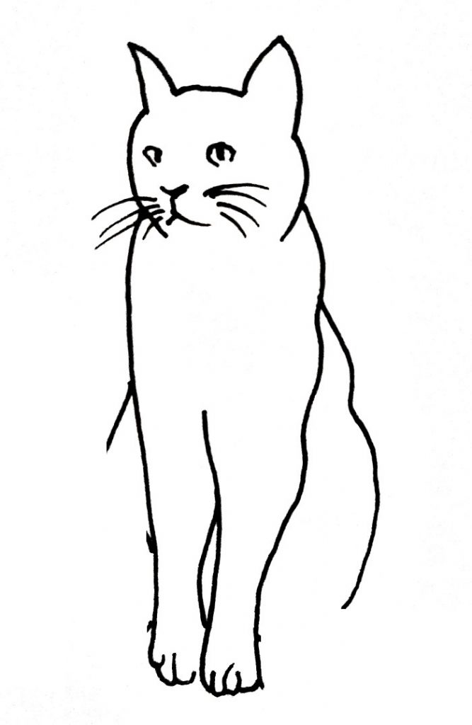 How To Draw A Cat Step 4