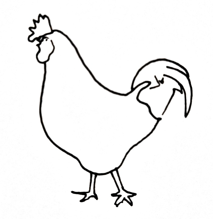 How To Draw A Chicken Step 6