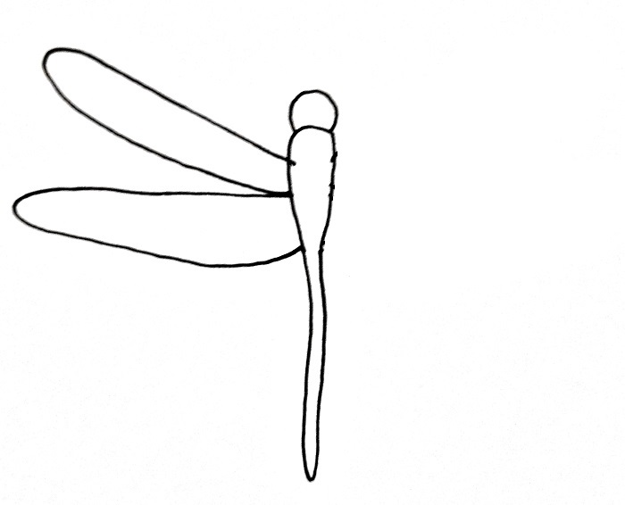 How To Draw A Dragonfly Step 4