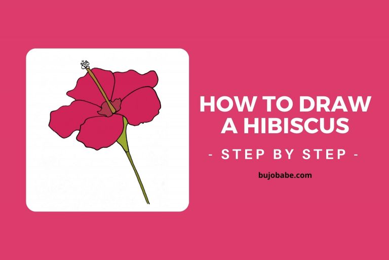 How To Draw A Hibiscus Step By Step