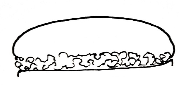 How To Draw A Macaron Step 2