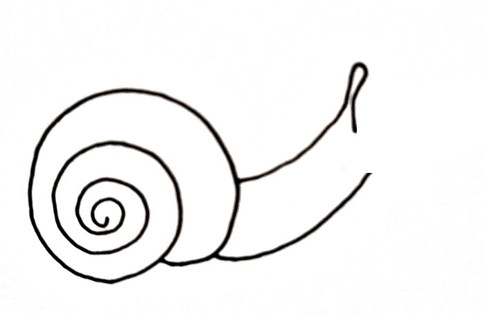 How To Draw A Snail Step 4
